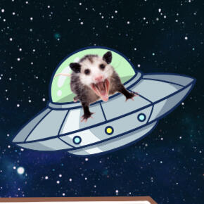 Planet WLN269 Just a screaming earth cat in a UFO.